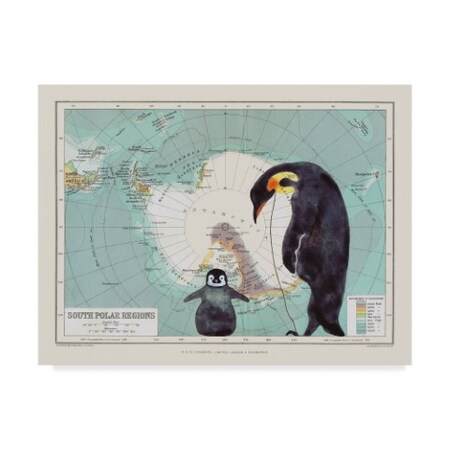 Trademark Fine Art Jane Wilson 'Antarctica' Canvas Art, 35x47 ALI36663-C3547GG